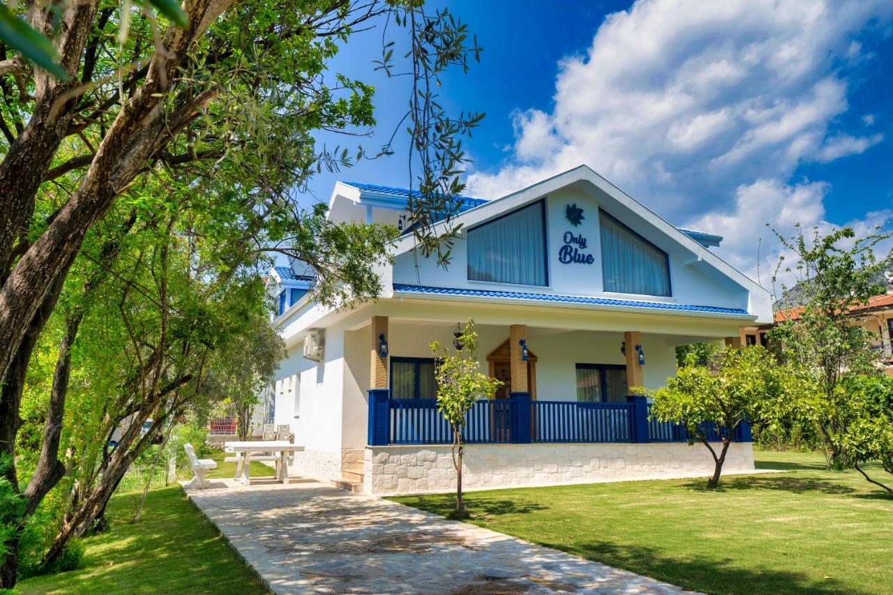 Villa Only Blue Gocek (Fethiye)