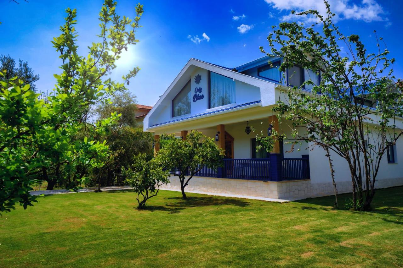 Villa Only Blue